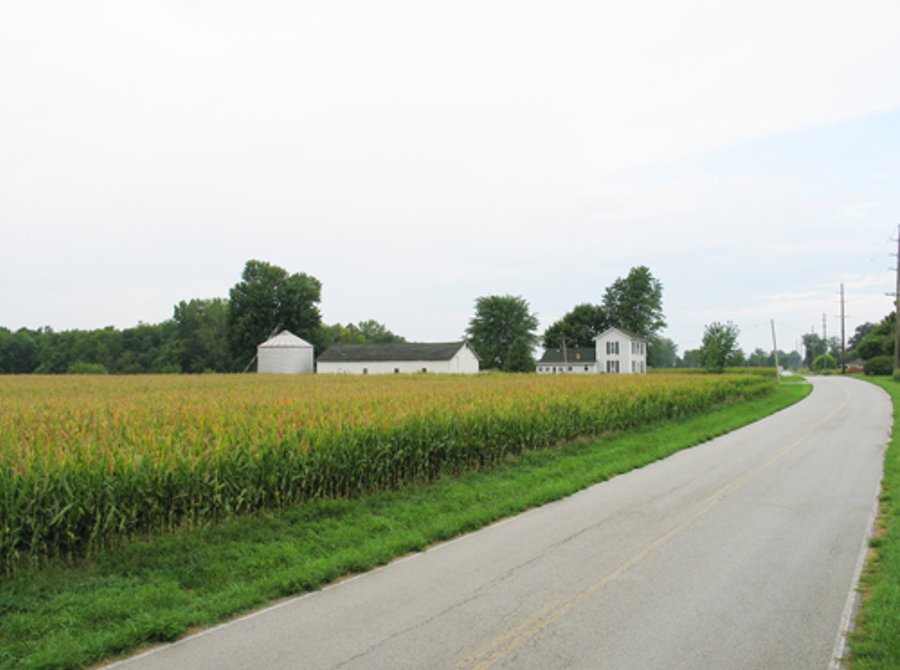 229 +/- Acres Offered in 2 Tracts - Land Auction